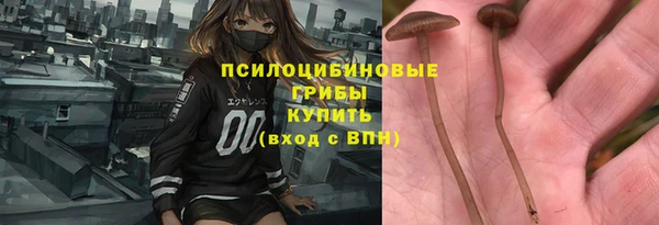 не бодяженный Киренск