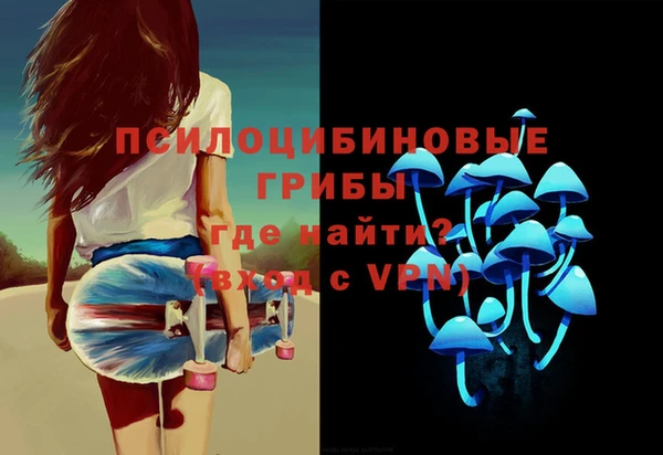 дурь Строитель