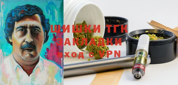ГАЛЛЮЦИНОГЕННЫЕ ГРИБЫ Нея